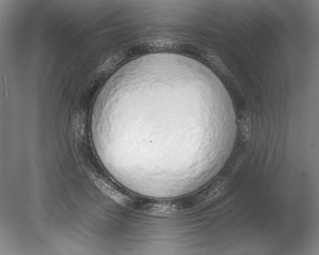 X0000080780458200701051332