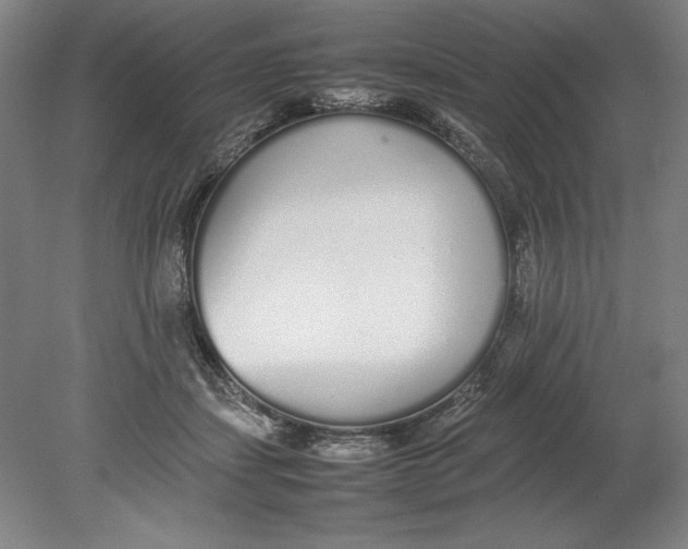 X0000080780459200701051332