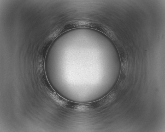 X0000080780462200701051332