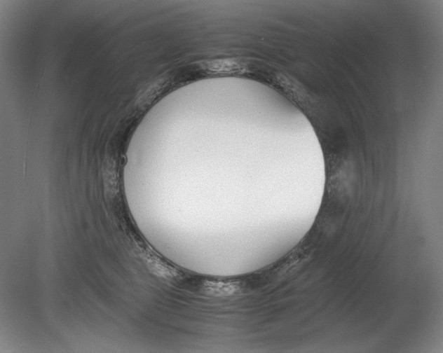 X0000080780469200701051332