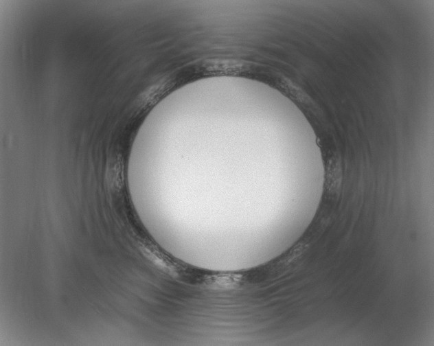 X0000080780474200701051332