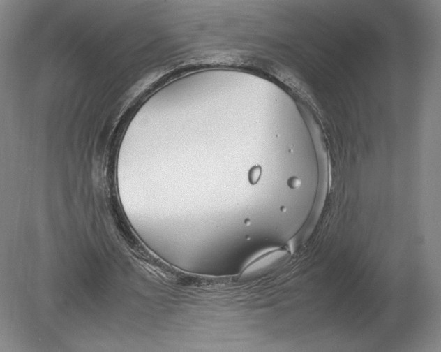 X0000080780483200701051331