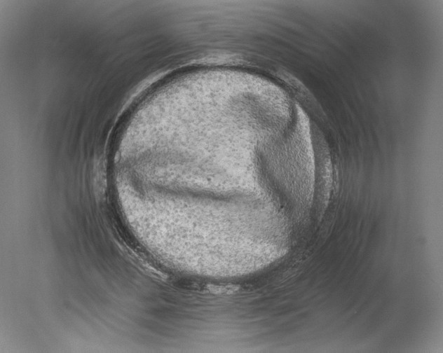 X0000080780484200701051331
