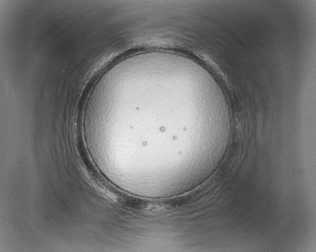 X0000080780487200701051331
