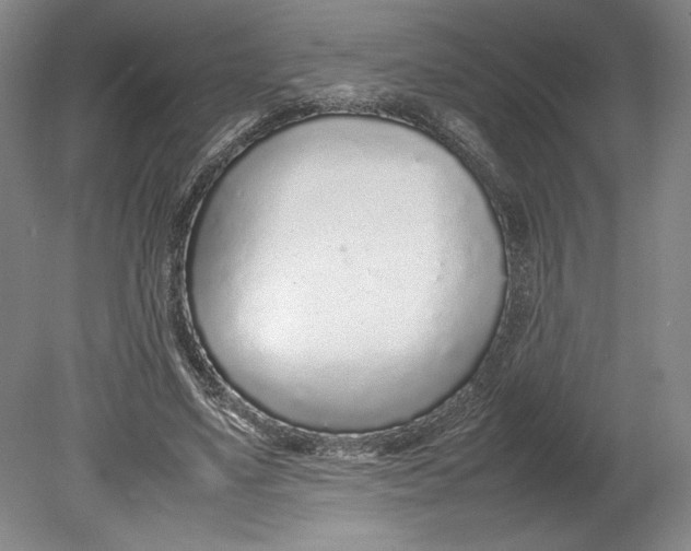 X0000080780491200701051331