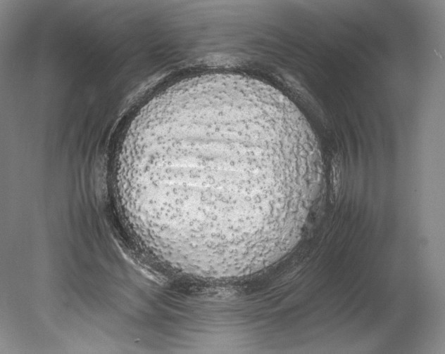 X0000080780492200701051331