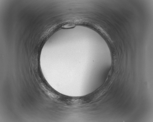 X0000080780493200701051331