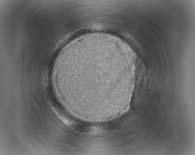 X0000080780496200701051331