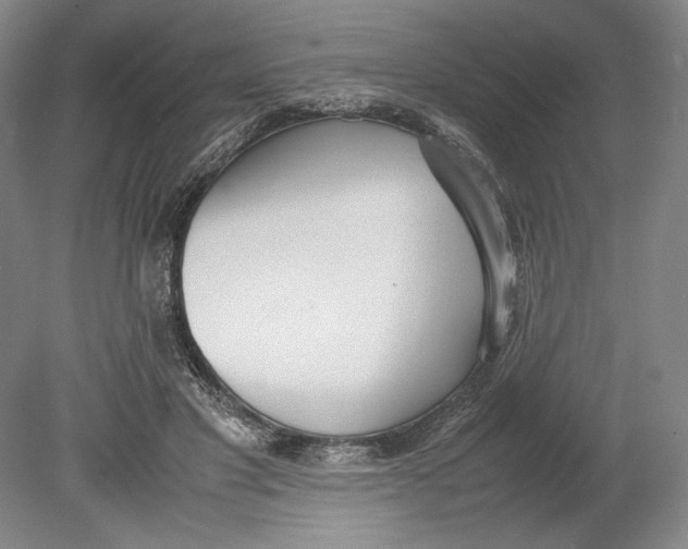 X0000080780501200701051331