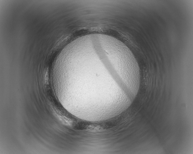 X0000080780502200701051331