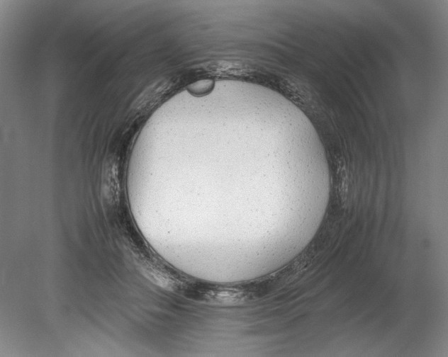 X0000080780506200701051331