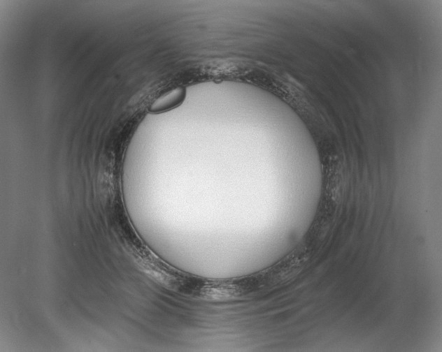 X0000080780510200701051331