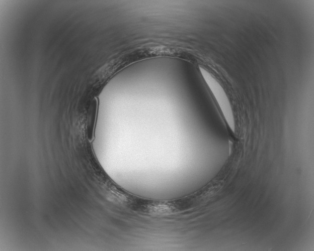 X0000080780513200701051331