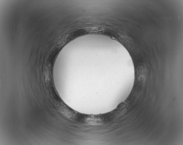 X0000080780515200701051331