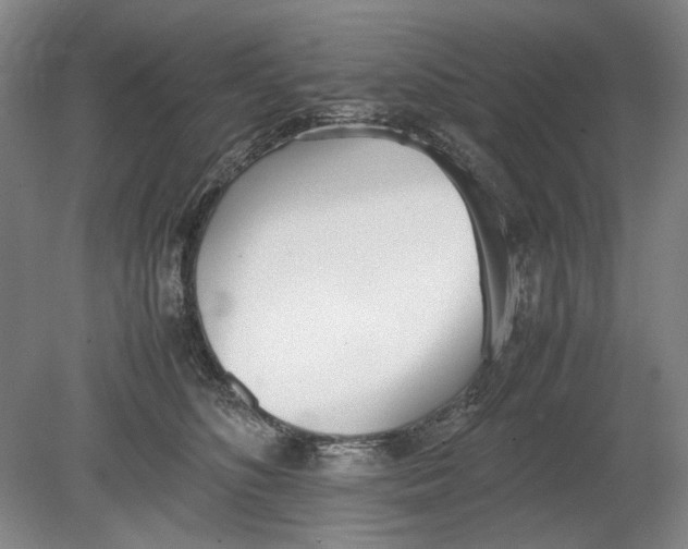 X0000080780516200701051331