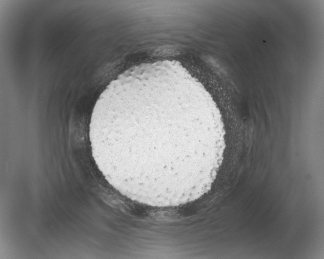 X0000080780517200701051331