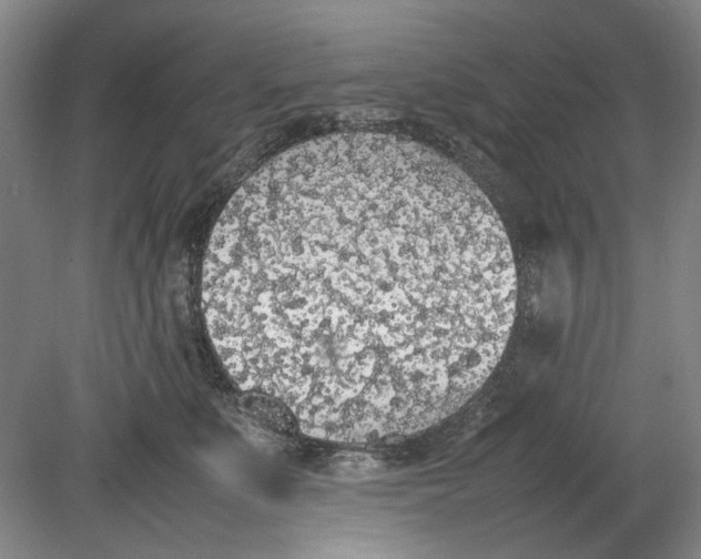X0000080780519200701051331