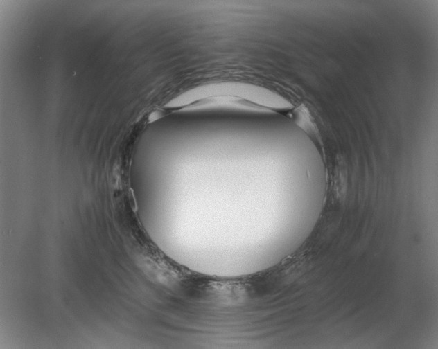 X0000080780520200701051331