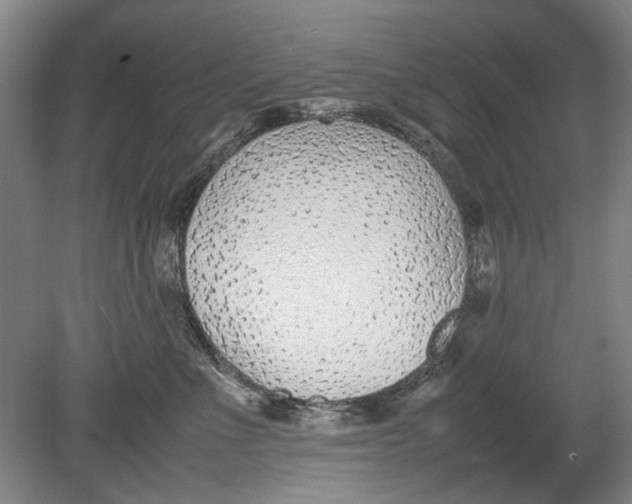 X0000080780523200701051331