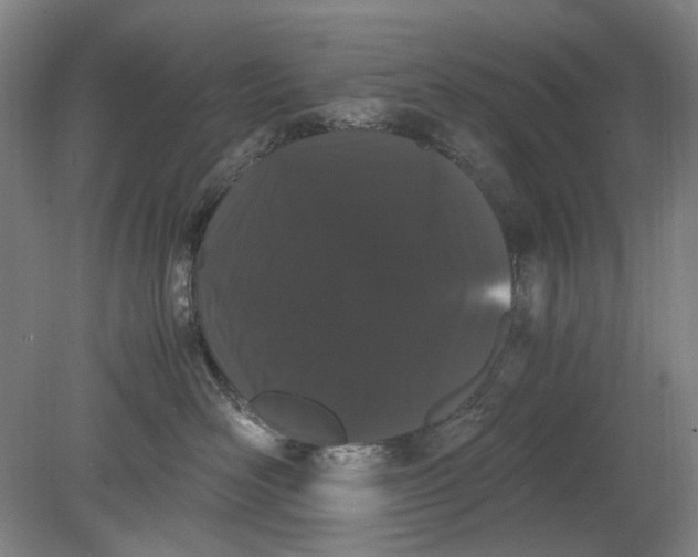 X0000080780526200701051331