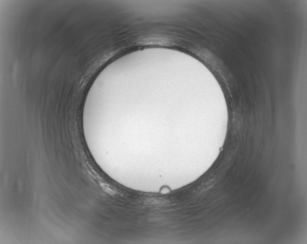X0000080780529200701051330