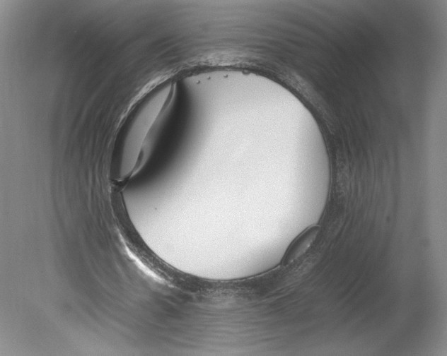 X0000080780530200701051330
