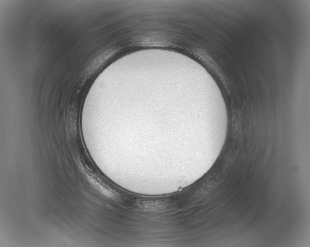 X0000080780533200701051330