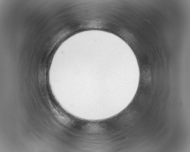 X0000080780534200701051330
