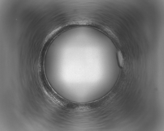 X0000080780536200701051330