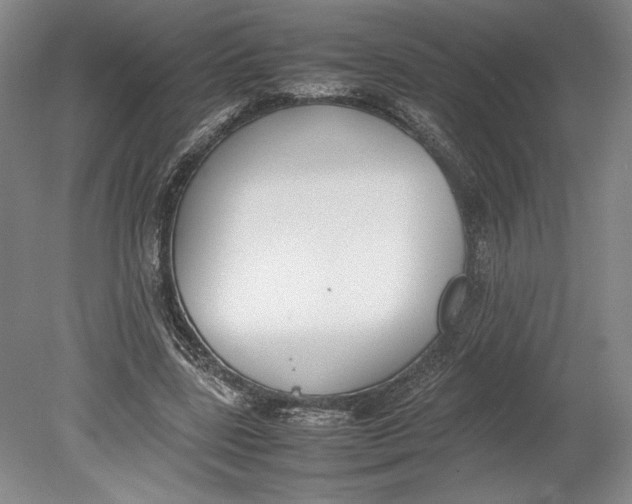 X0000080780539200701051330