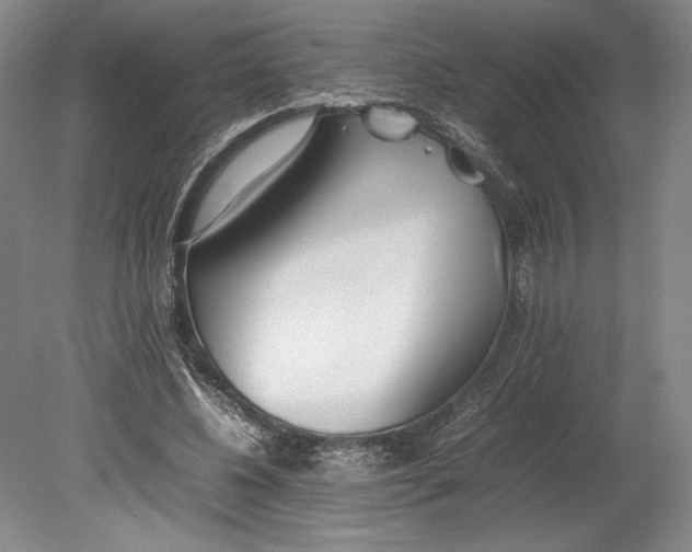 X0000080780540200701051330