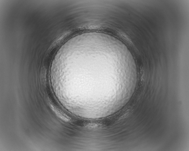X0000080780542200701051330