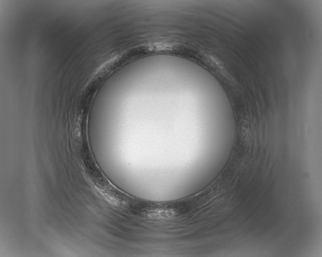X0000080780543200701051330