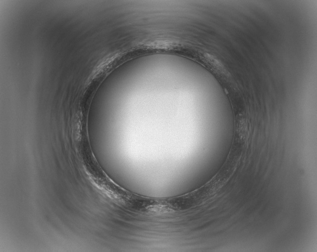 X0000080780544200701051330