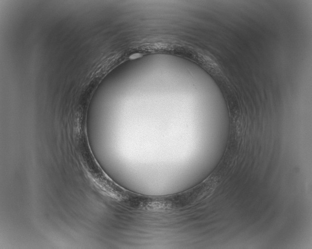 X0000080780546200701051330