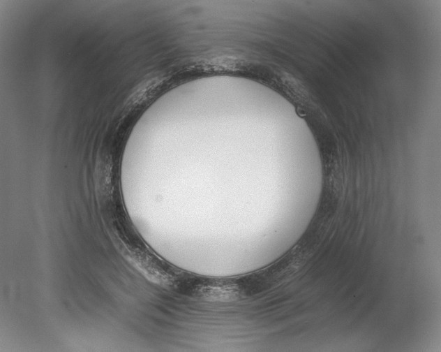 X0000080780548200701051330