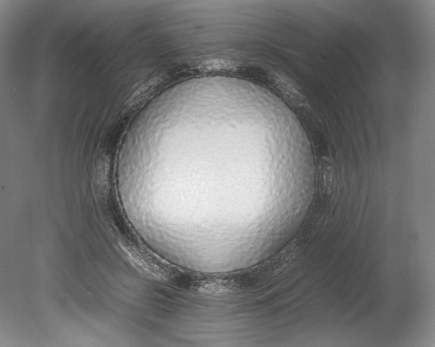 X0000080780550200701051330