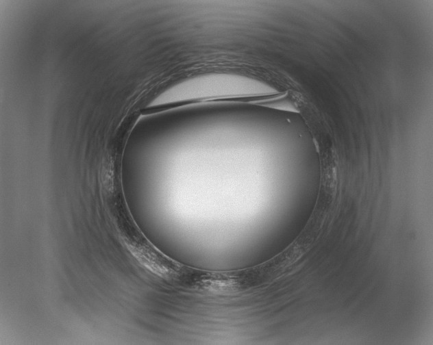 X0000080780552200701051330