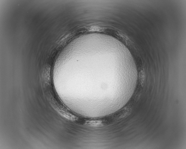 X0000080780554200701051330