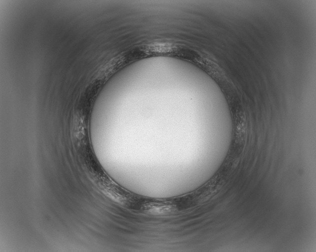 X0000080780555200701051330