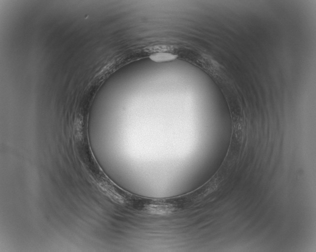 X0000080780556200701051330