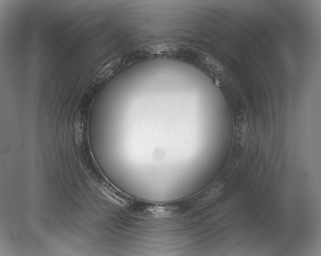 X0000080780558200701051330