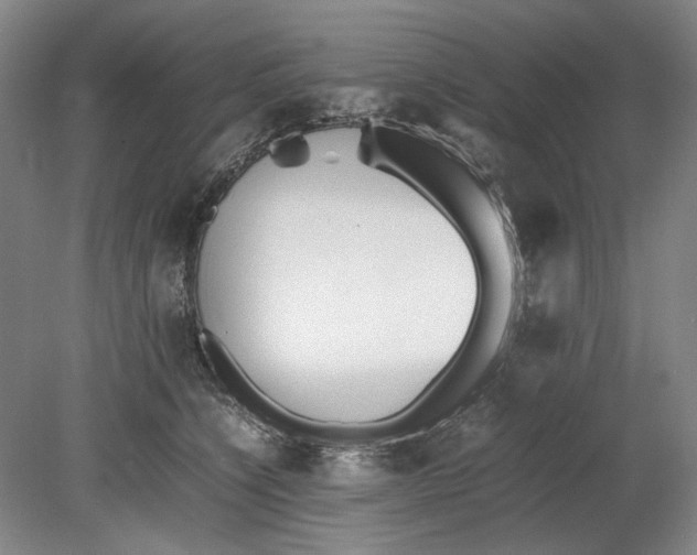 X0000080780564200701051330