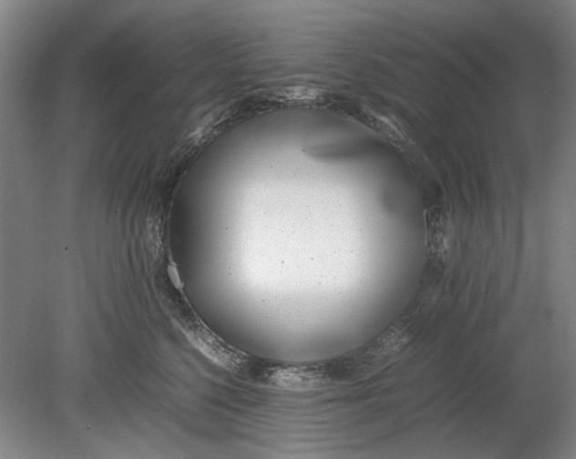X0000080780568200701051330