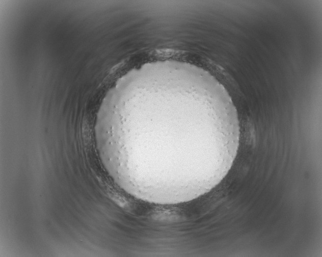 X0000080780569200701051330