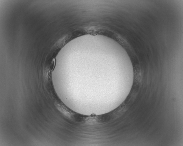 X0000080780574200701051331
