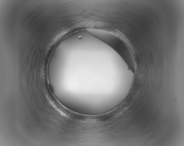 X0000080780581200701051330
