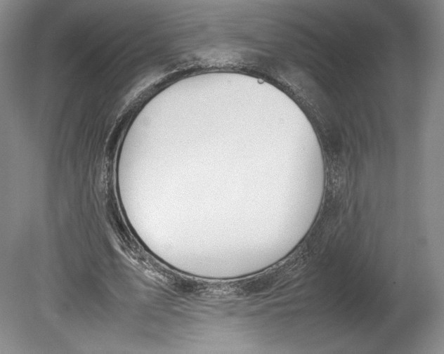 X0000080780583200701051330