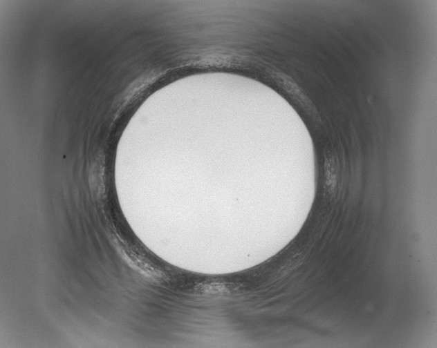 X0000080780588200701051330