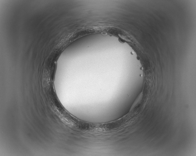 X0000080780593200701051329